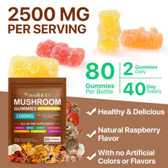 Mushroom complex ingredients including Chaga, Maitake, Turkey Tail, Shiitake, Reishi, Cordyceps