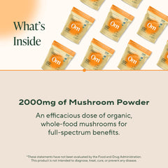 Close-up texture of lion’s mane mushroom powder