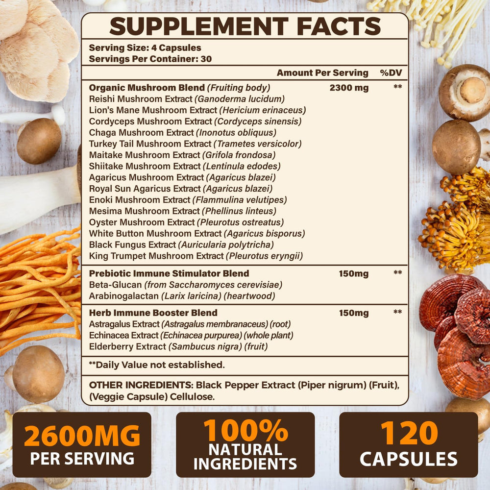 Mushrooms Lions Mane, Reishi and Cordyceps in blend
