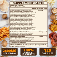 Mushrooms Lions Mane, Reishi and Cordyceps in blend