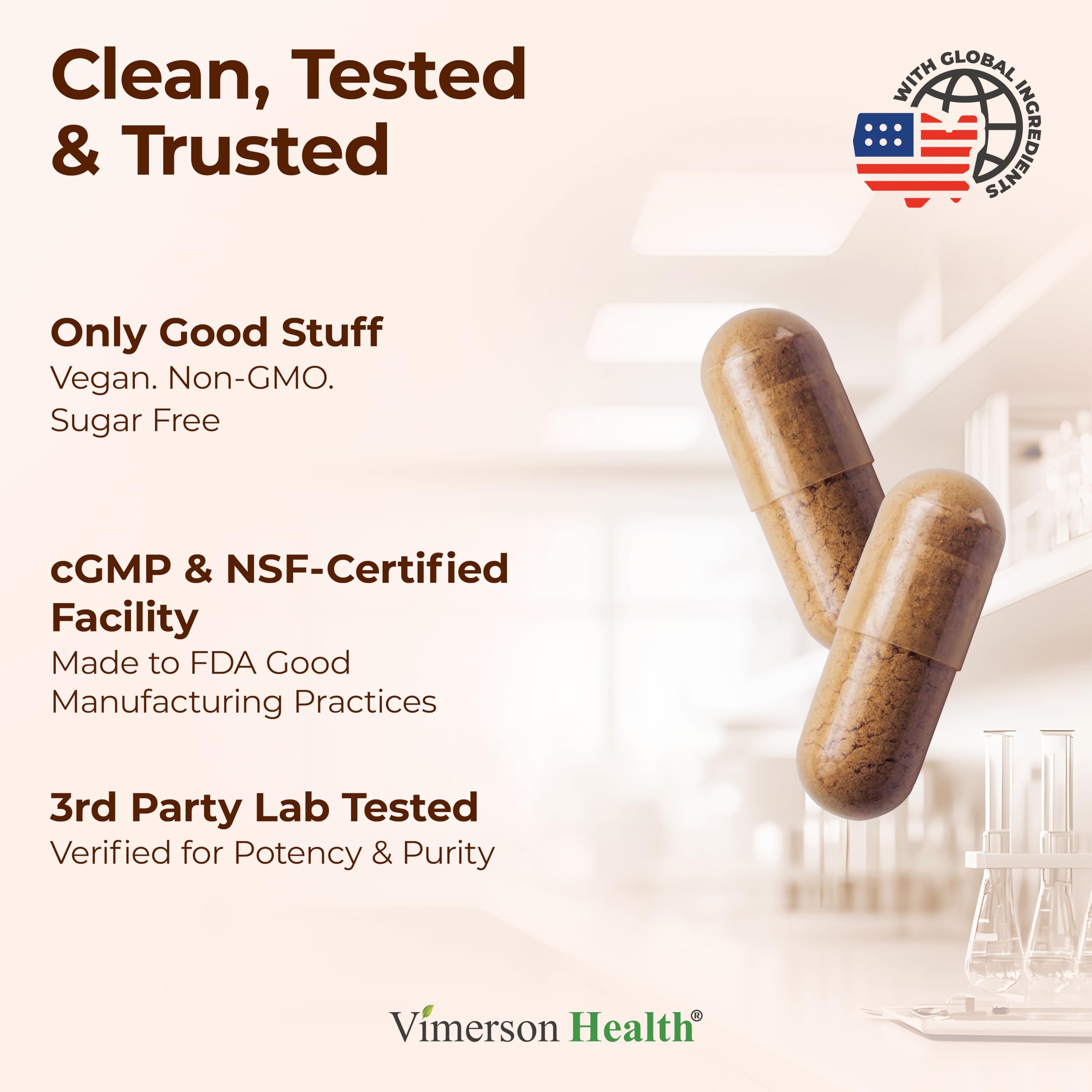 Assorted medicinal mushrooms arranged for product photography