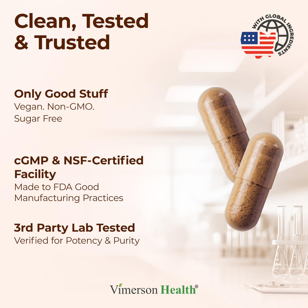 Assorted medicinal mushrooms arranged for product photography