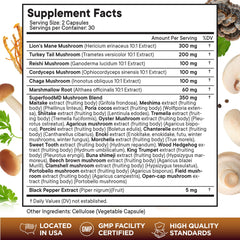 Blend of turkey tail, reishi, cordyceps and chaga ingredients