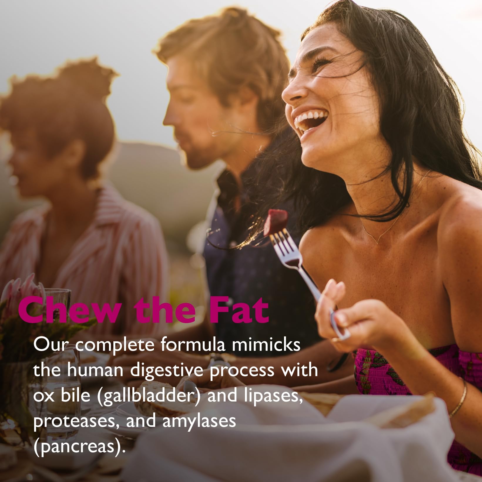 Lipase-HP Plus high-concentration lipase ingredients