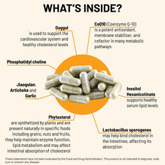 Diagram representing enzyme function and lipid metabolism.