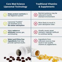 Diagram of liposomal delivery absorption technology