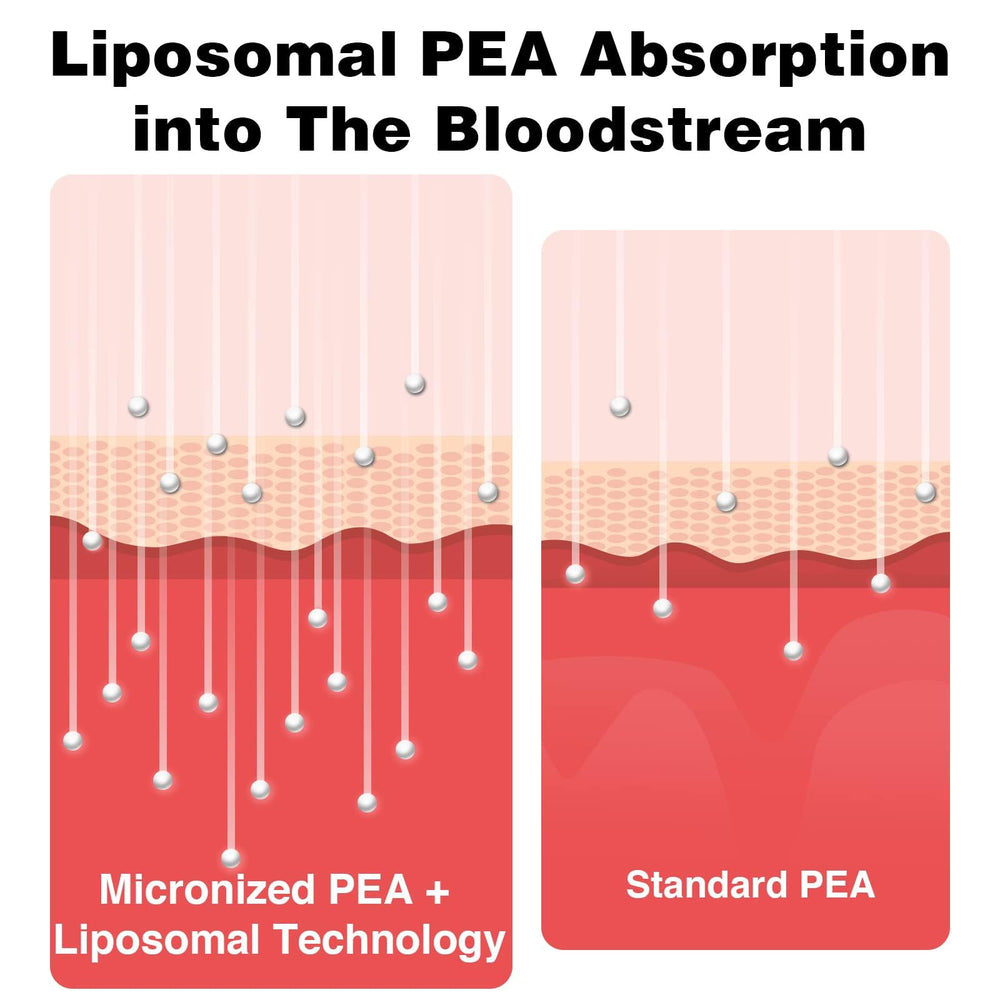 Liposomal delivery system infographic