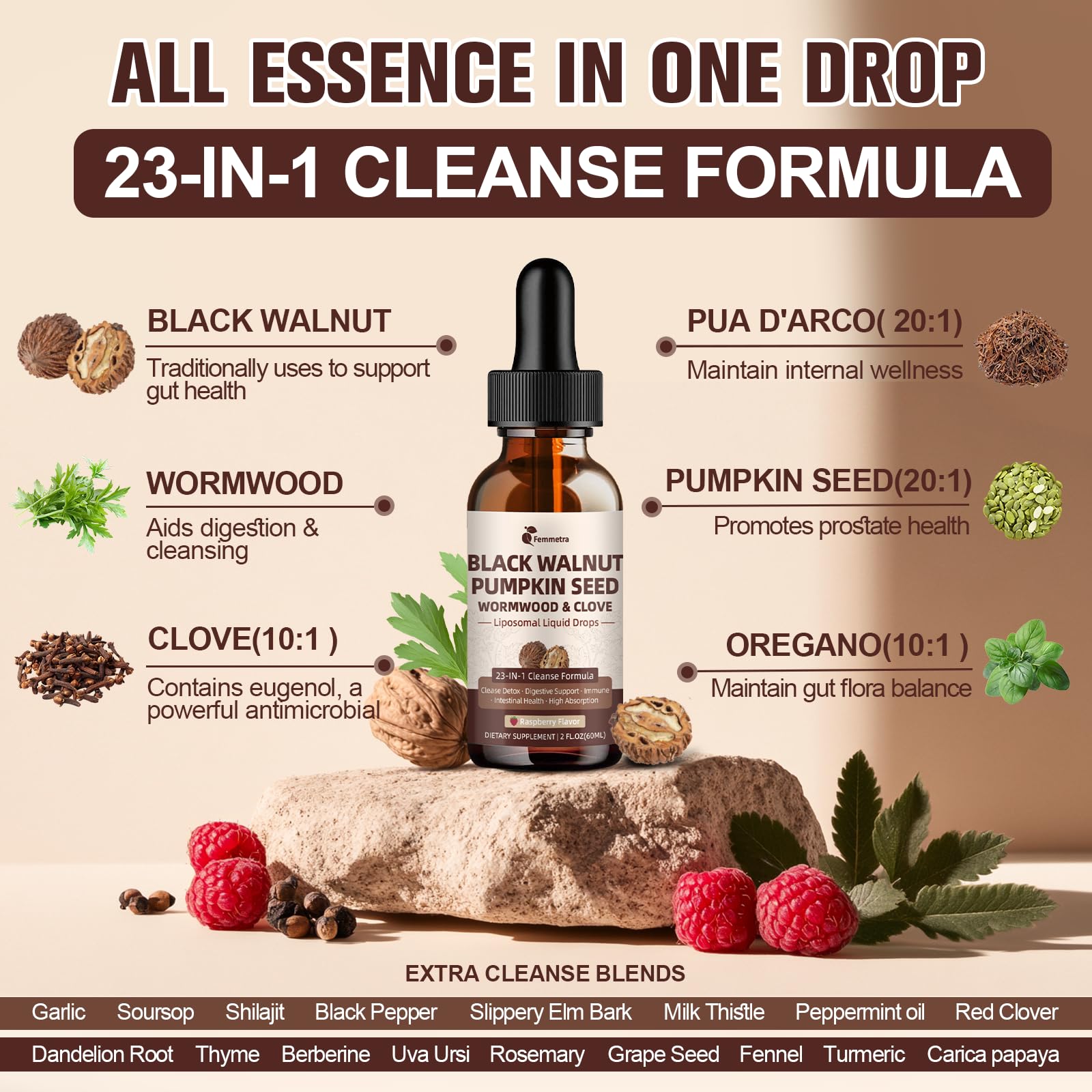 Graphic of liposomal delivery technology showing high absorption