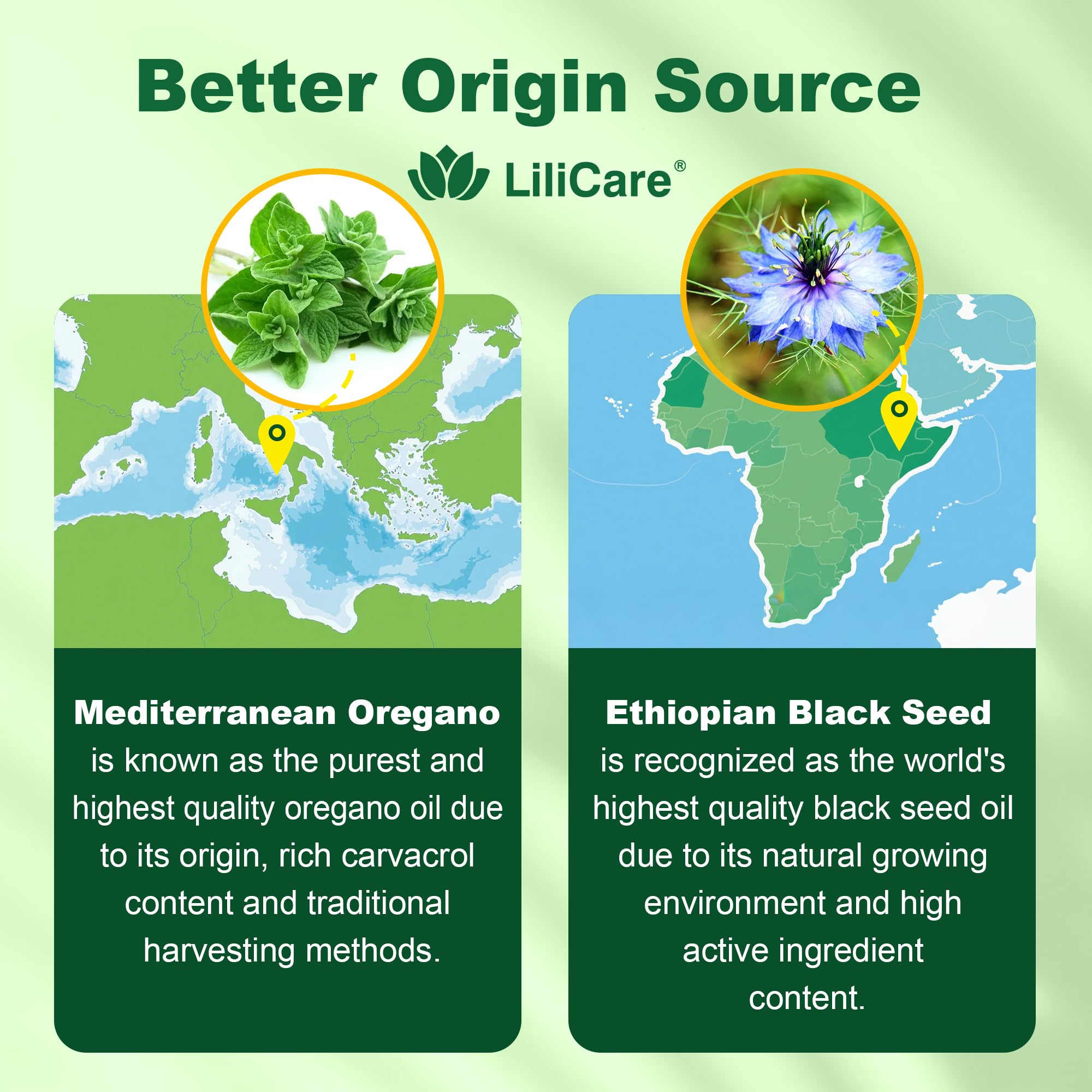 GummieJel encapsulation technology illustration for gummies