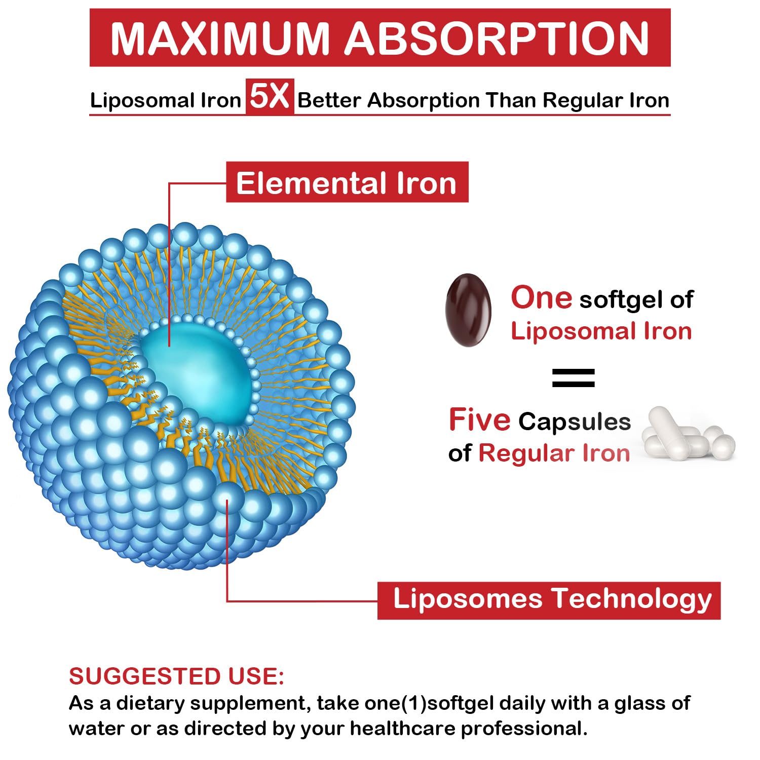 Graphic showing enhanced absorption of liposomal iron