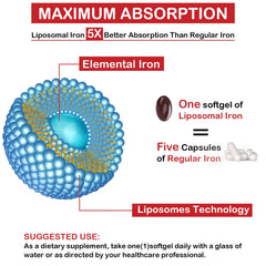 Graphic showing enhanced absorption of liposomal iron
