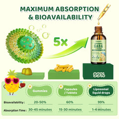Infographic showing enhanced absorption of liposomal GABA L-Theanine drops