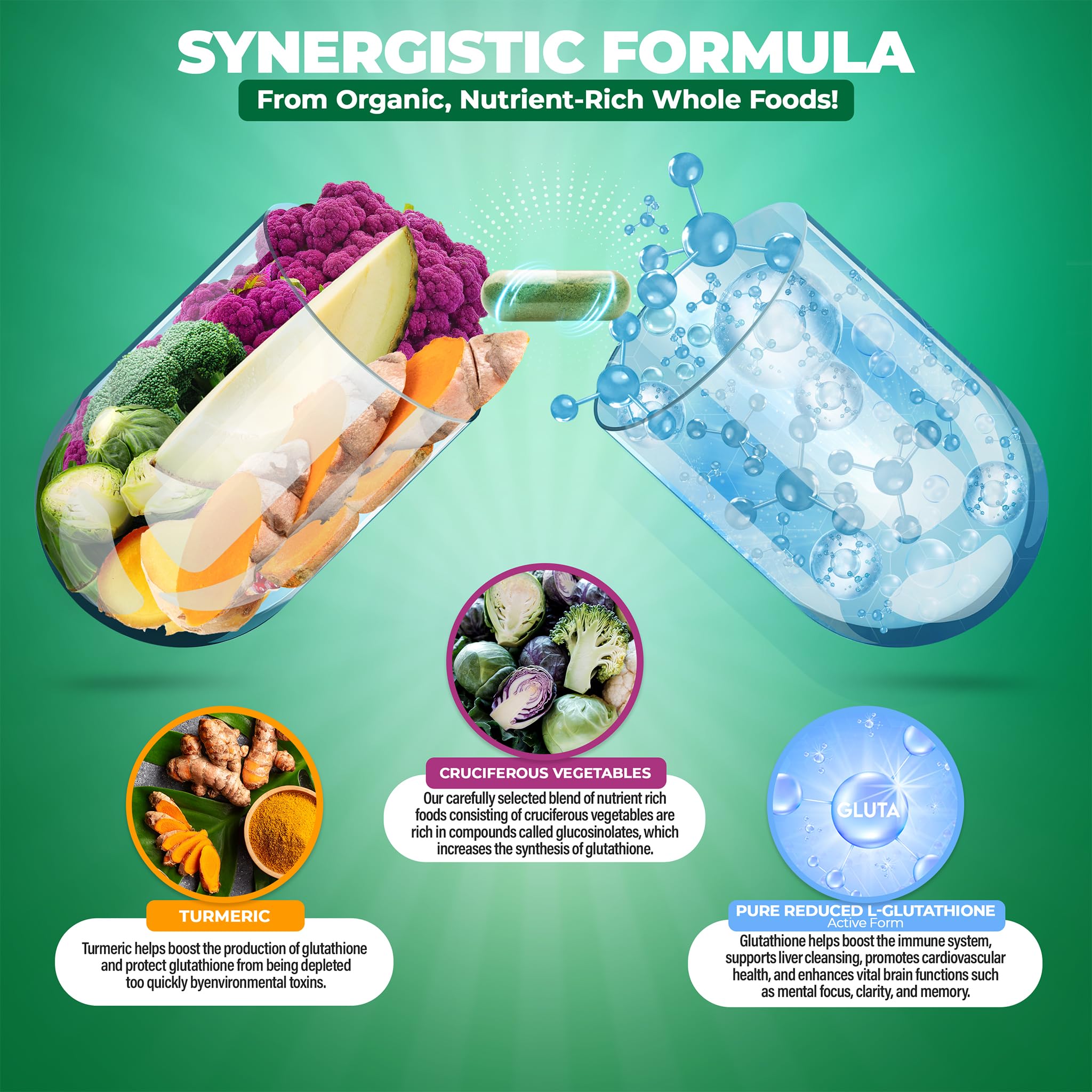 Phospholipid complex derived from organic sunflower oil and lecithin