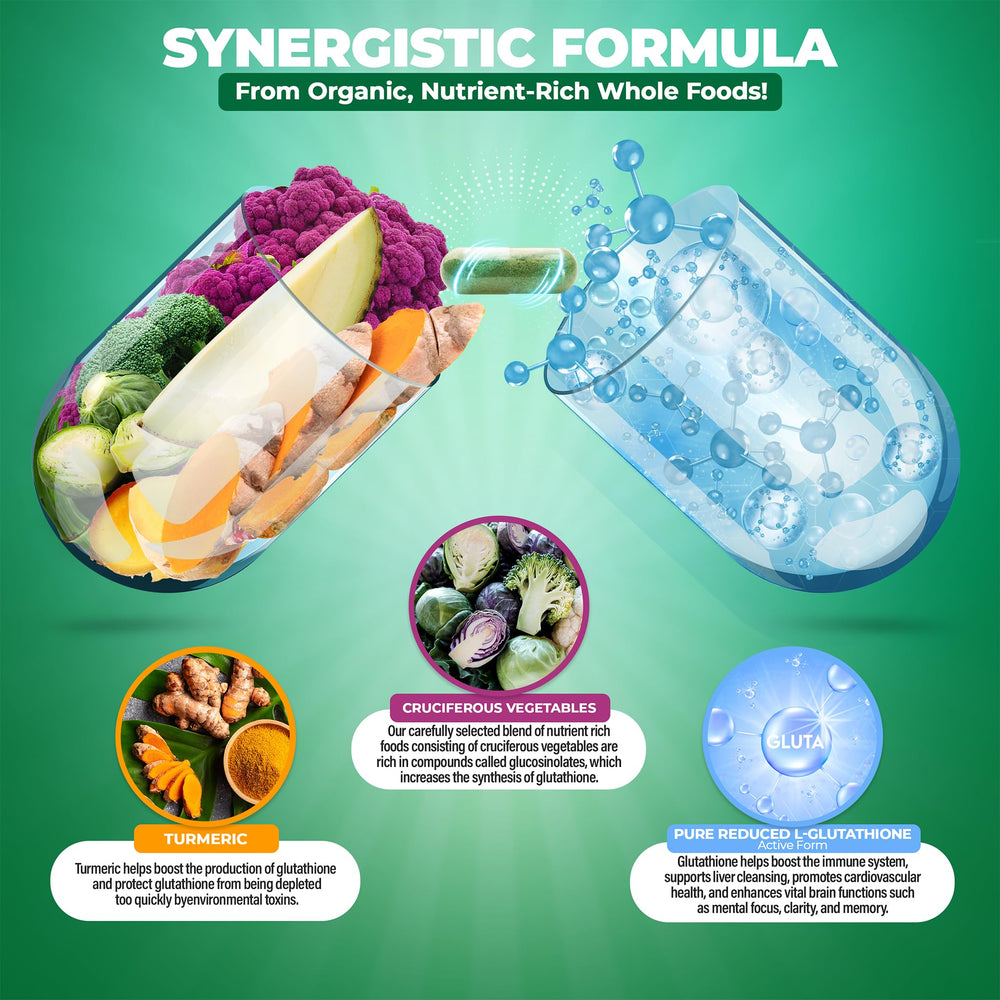 Phospholipid complex derived from organic sunflower oil and lecithin