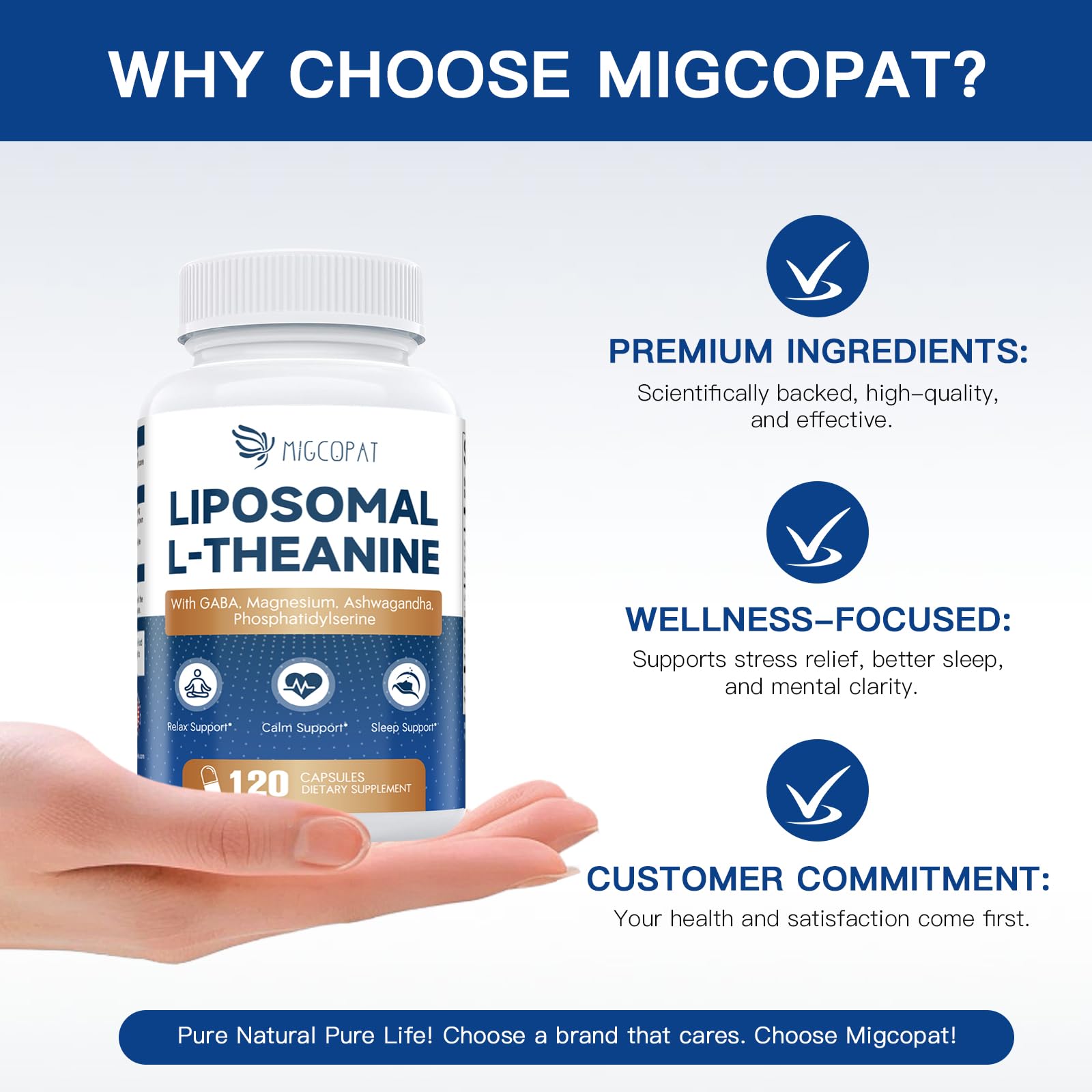 Detail of GABA and other actives in the capsules.