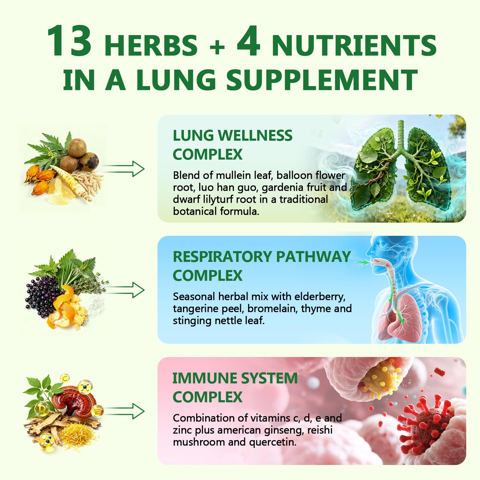 Mullein leaf extract and elderberry fruit extract ingredients