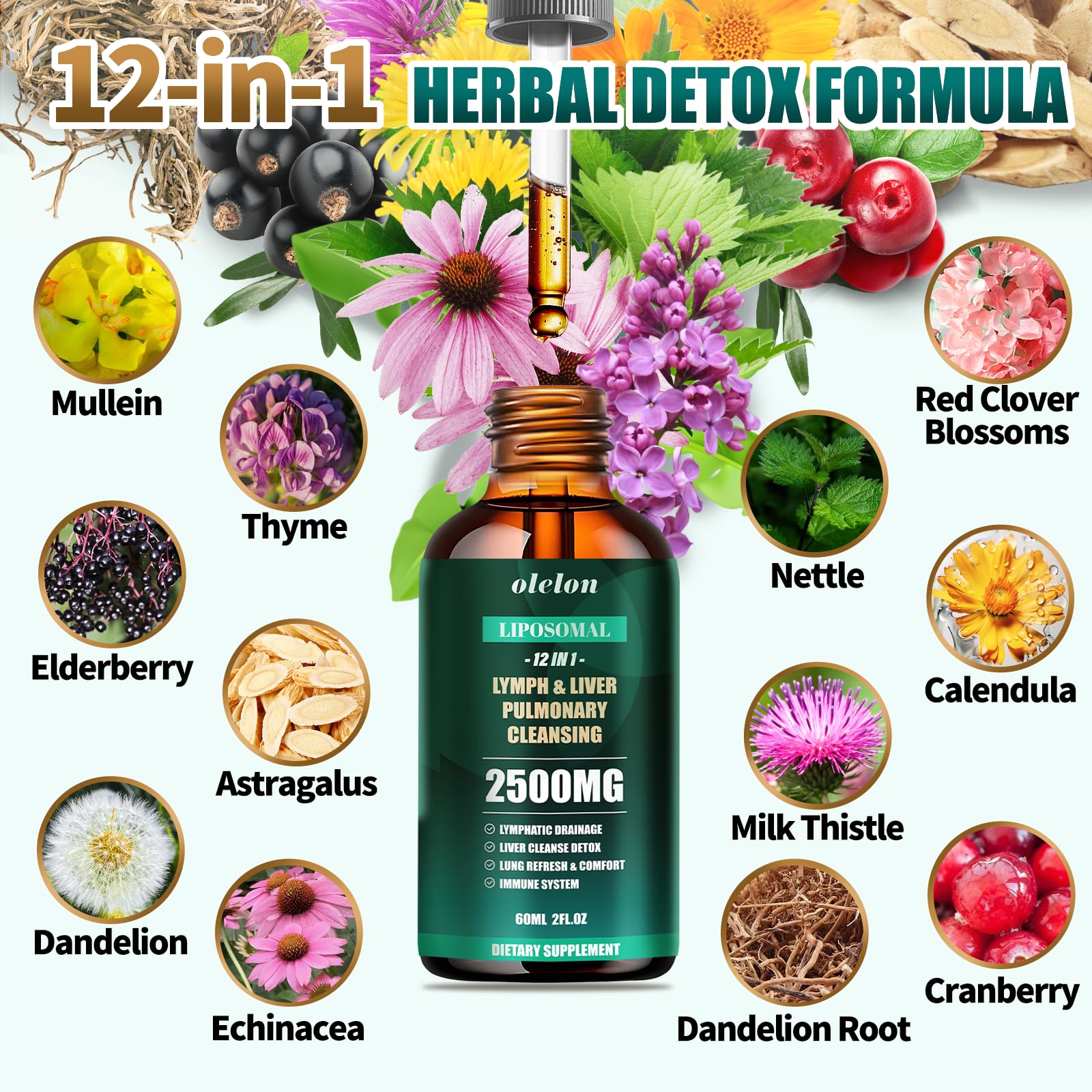 Dropper dispensing 2ml serving of LLL Cleanse Drops