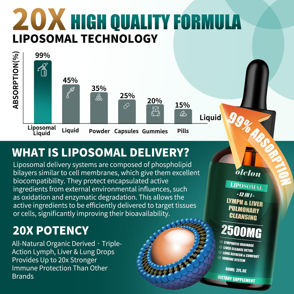 Illustration of lymphatic, liver, and lung support concept