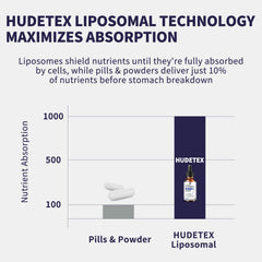 Illustration showing liposomal NAD with enhanced absorption