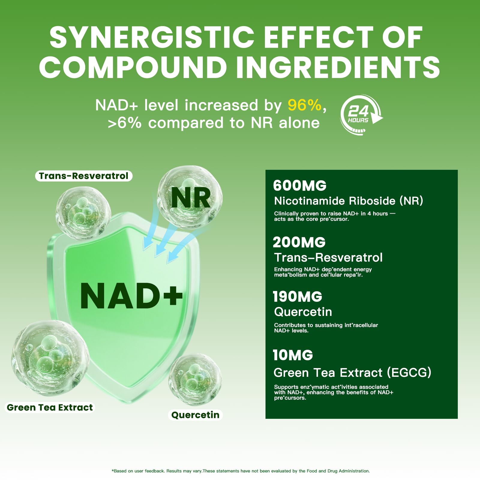 Illustration showing liposomal NAD+ absorption