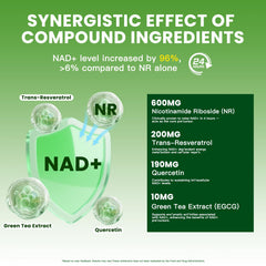 Illustration showing liposomal NAD+ absorption