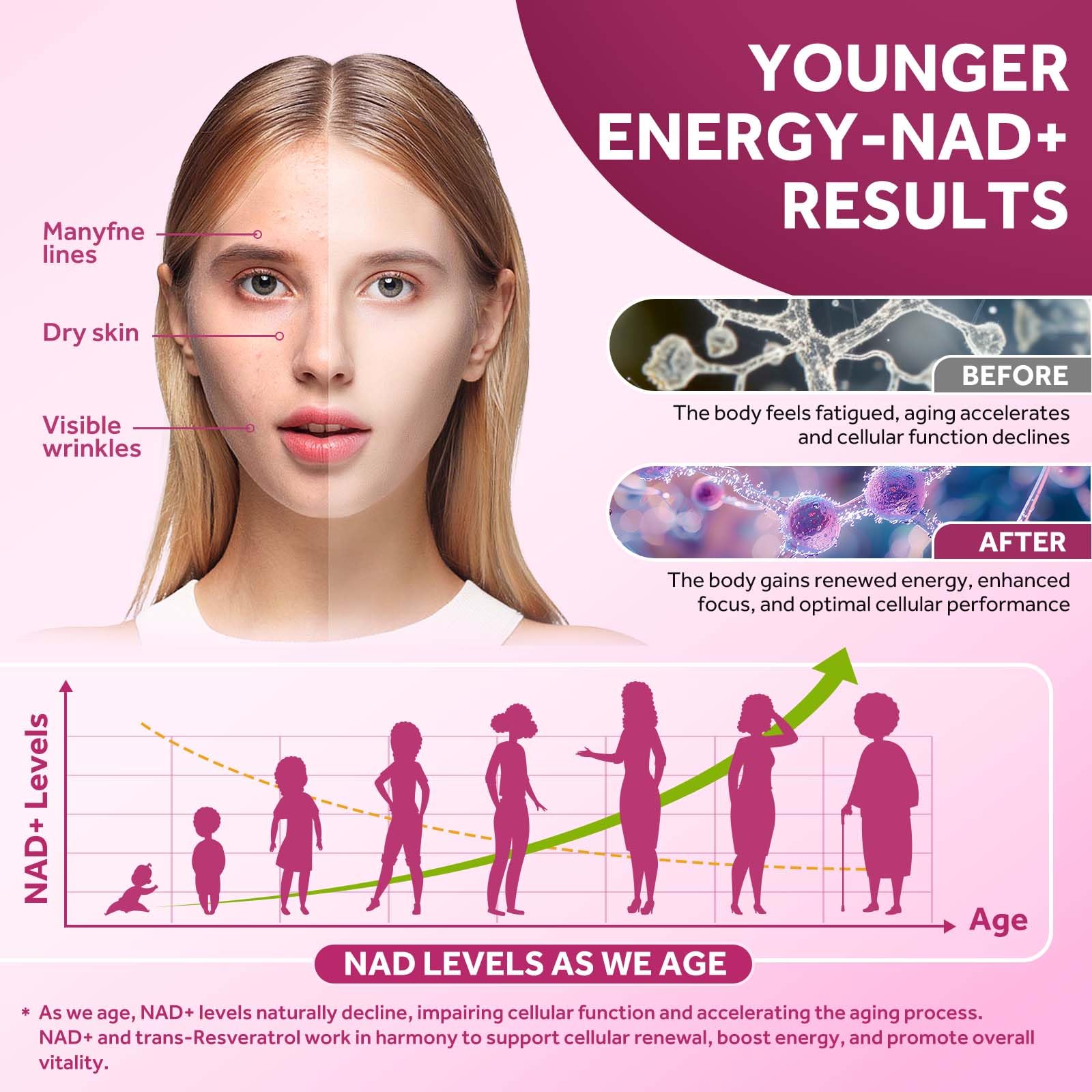 Visual of liposomal NAD absorption technology