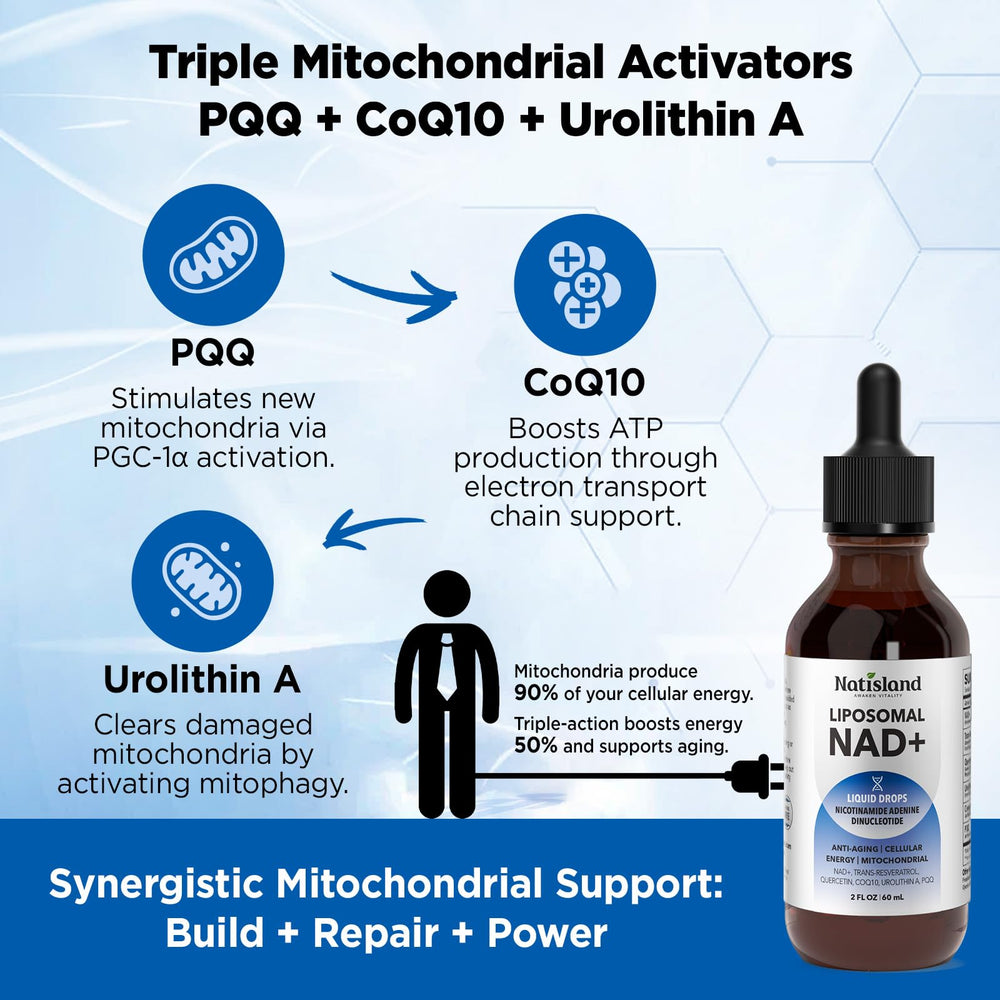 Daily 2ml serving of liposomal NAD+ liquid drops