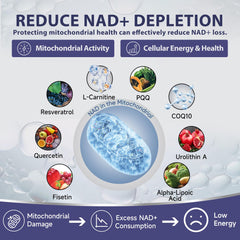 Mitochondrial health concept with energy glow