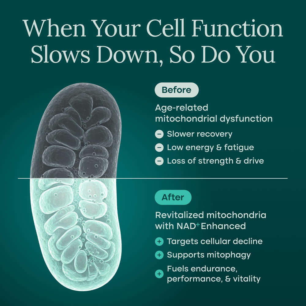 Cognition and brain health focus representation