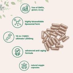 Liposomal NAD+ absorption technology visual