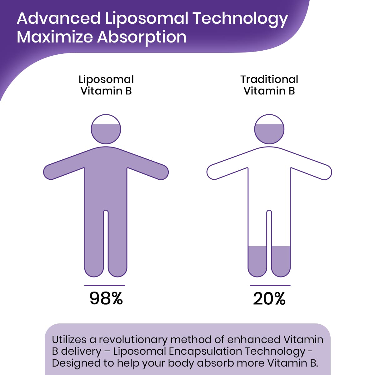 List of B vitamins included in the formula
