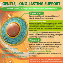 Supplement ingredients: zinc, elderberry and iron icons