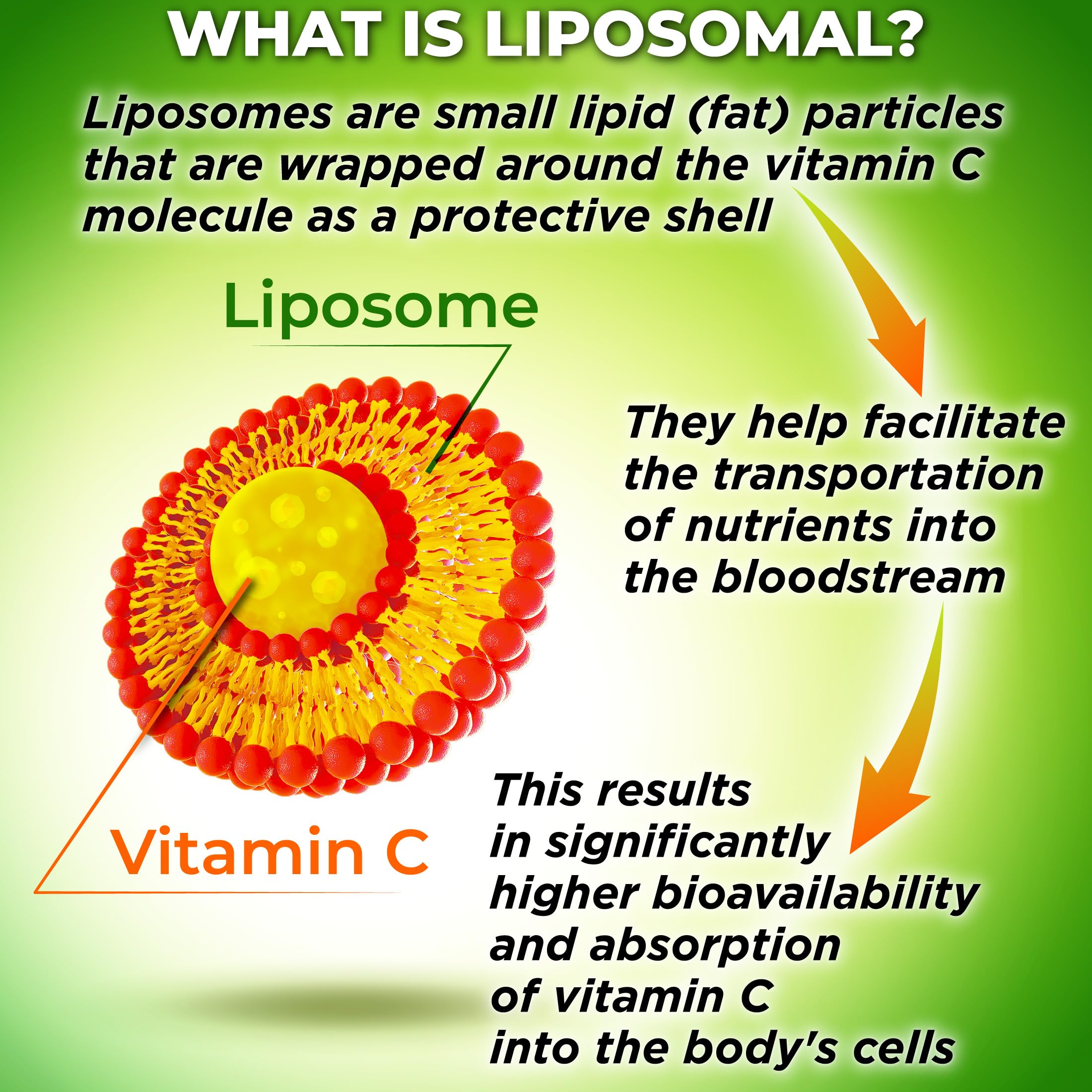 Third-party lab test certificate for liposomal vitamin C quality