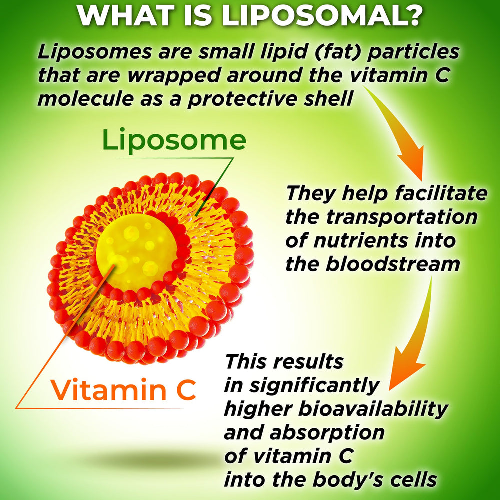 Third-party lab test certificate for liposomal vitamin C quality
