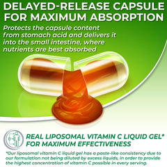 Liposomal Vitamin C 1100mg highlighting organic acerola cherries