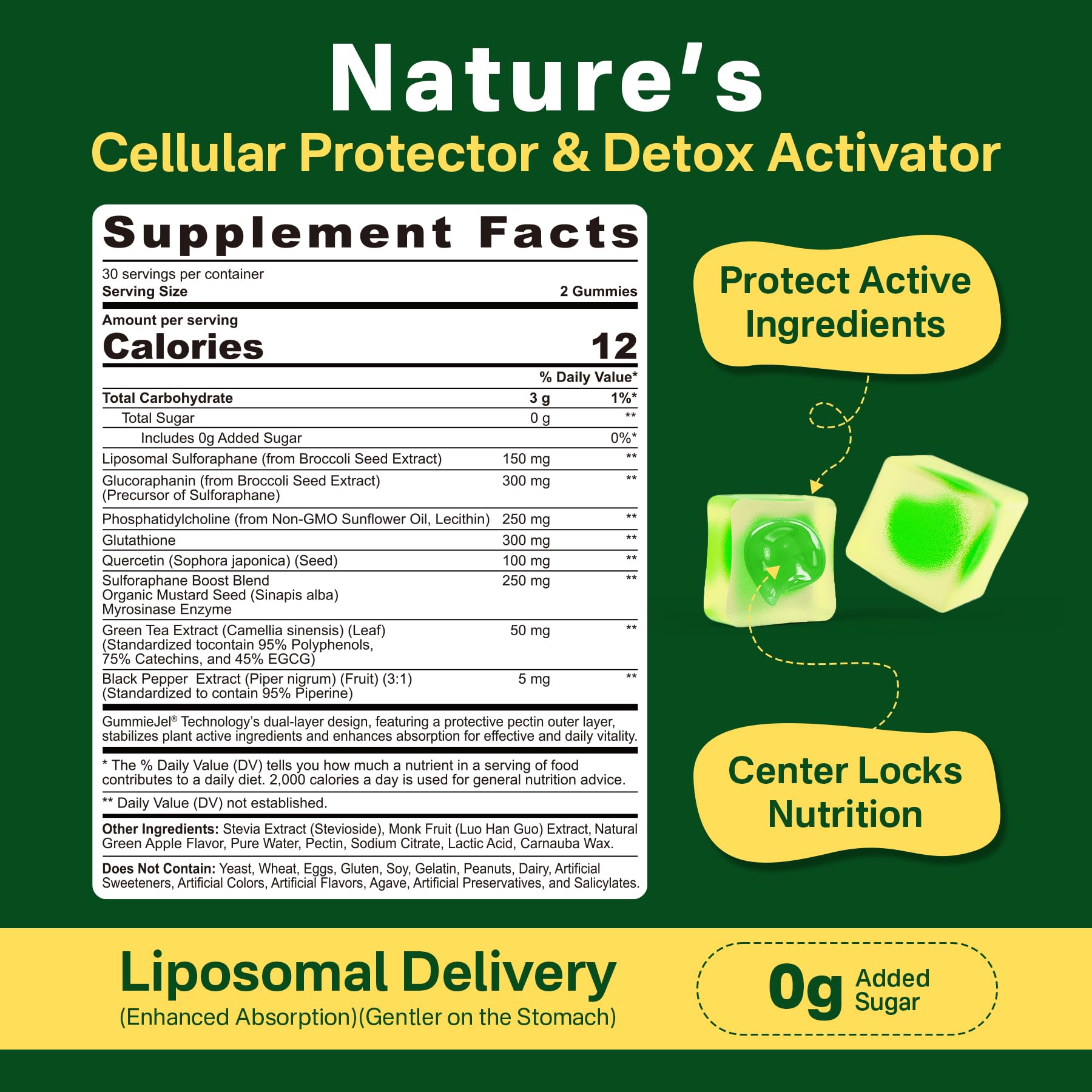 Broccoli seed extract and myrosinase illustration