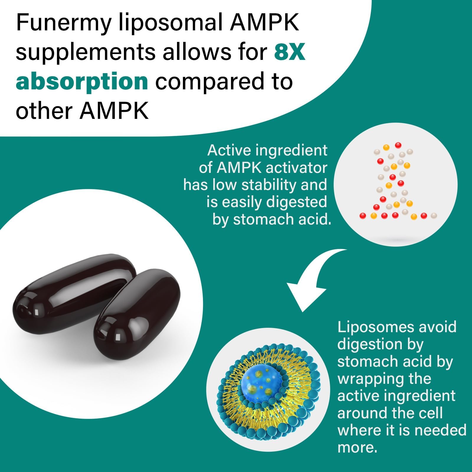 Liposome encapsulation technology illustration for faster absorption (8x)