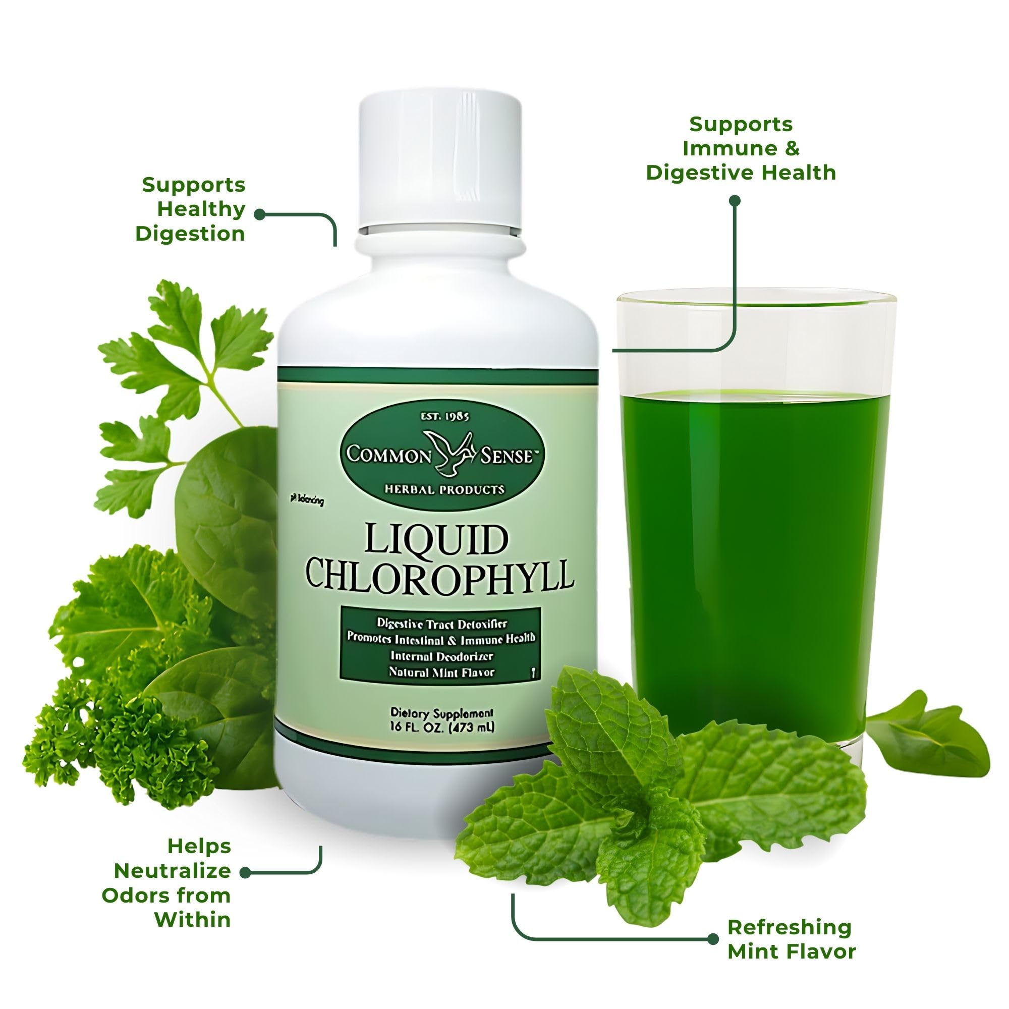 Digestive detox illustration for Liquid Chlorophyll 16oz