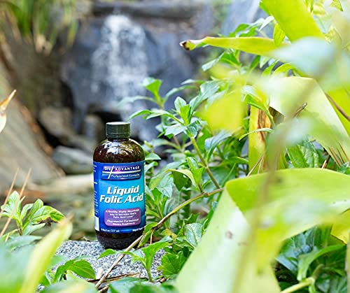 Bottle and packaging shot of Liquid Folic Acid 800 mcg