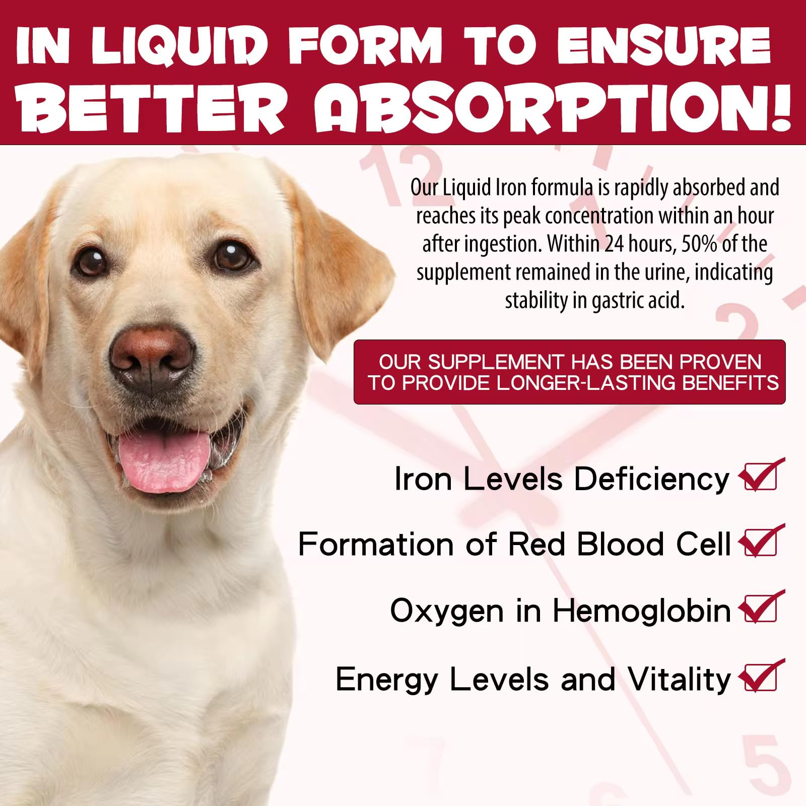 Natural iron supplement for dogs with no artificial preservatives