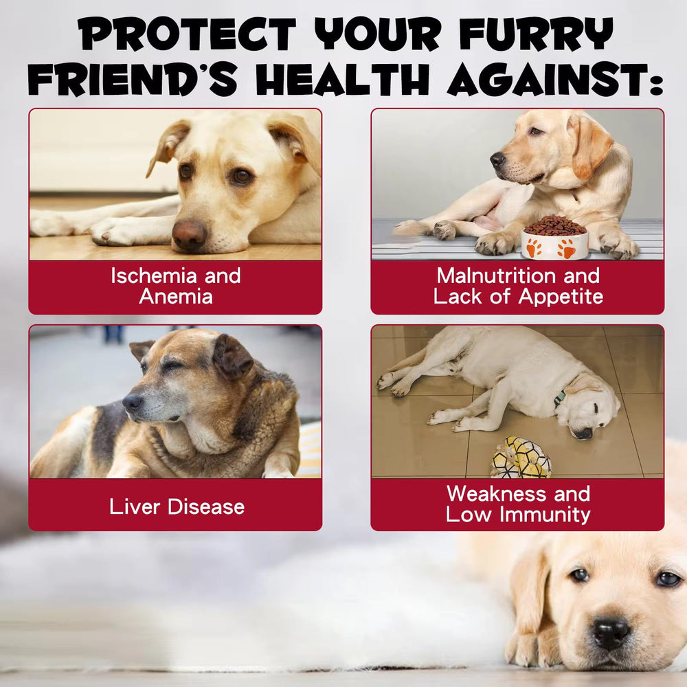 Vet-approved liquid iron supplement for dogs