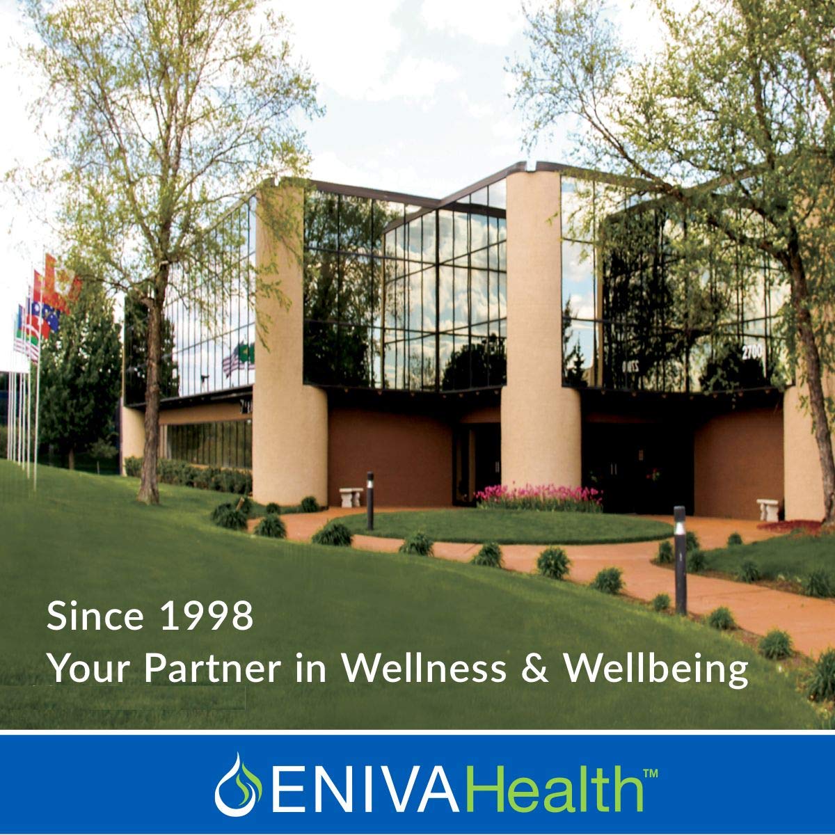 Visual concept of rapid absorption for liquid magnesium.