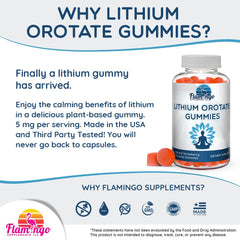 Nutrition facts panel for Lithium Orotate Gummies