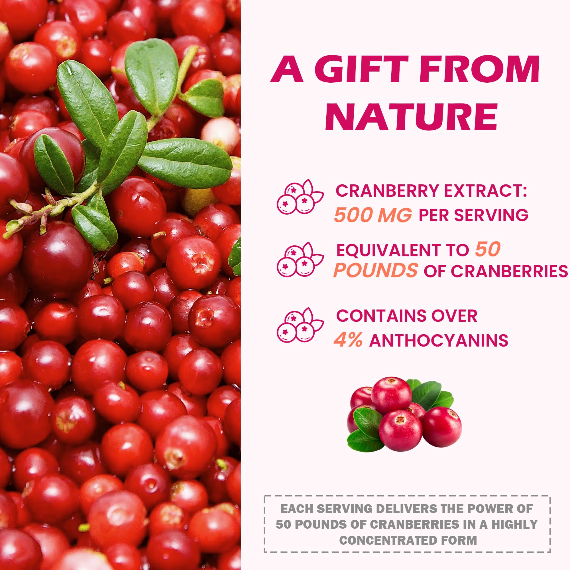 Illustration of 23 botanicals for Litypure formula