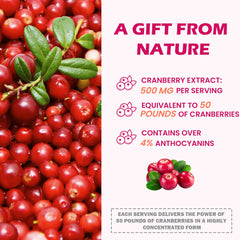 Illustration of 23 botanicals for Litypure formula