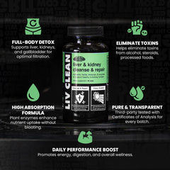 Digestive enzymes illustration representing Liv Clean formula