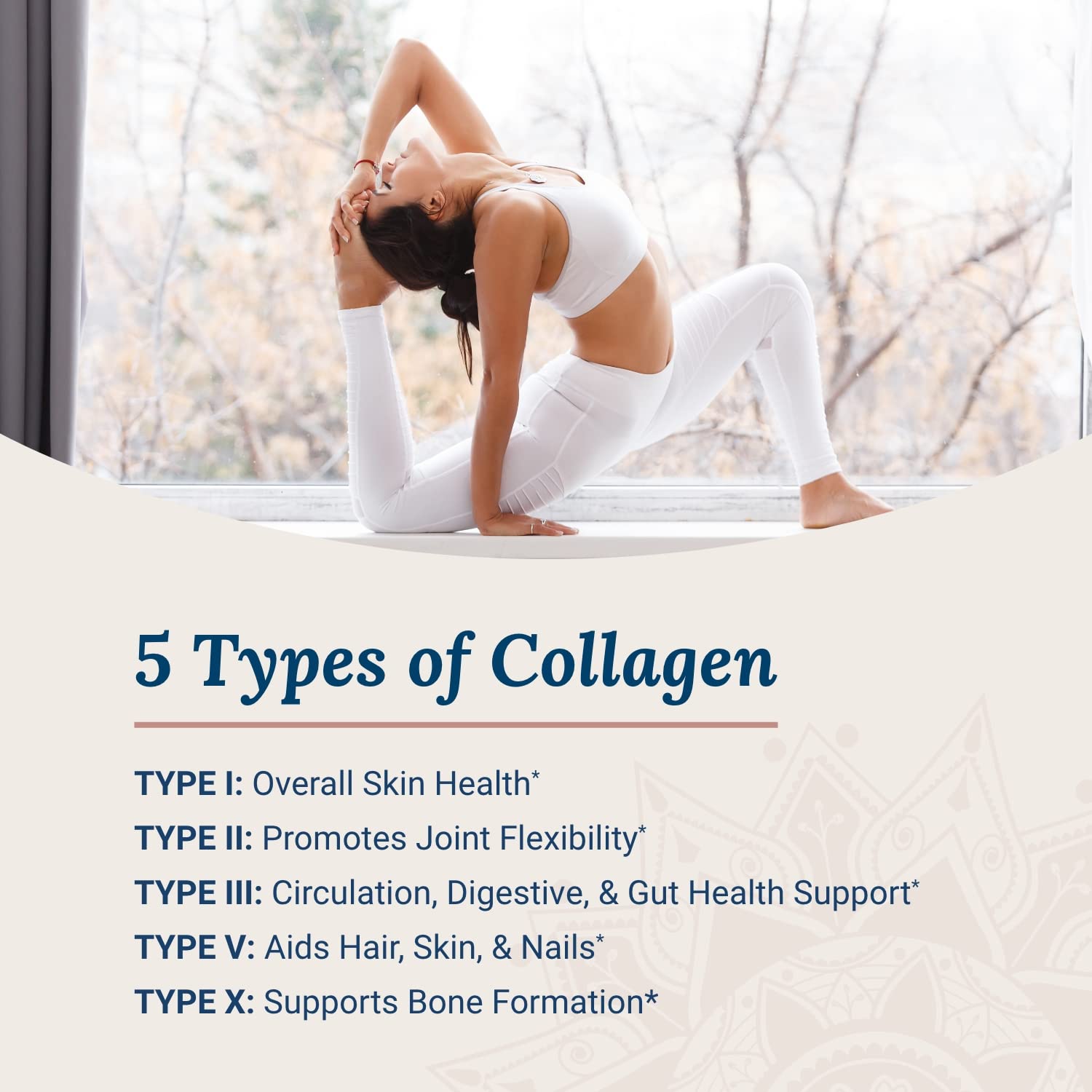 Overview of Beyond Collagen 2-pack ingredients