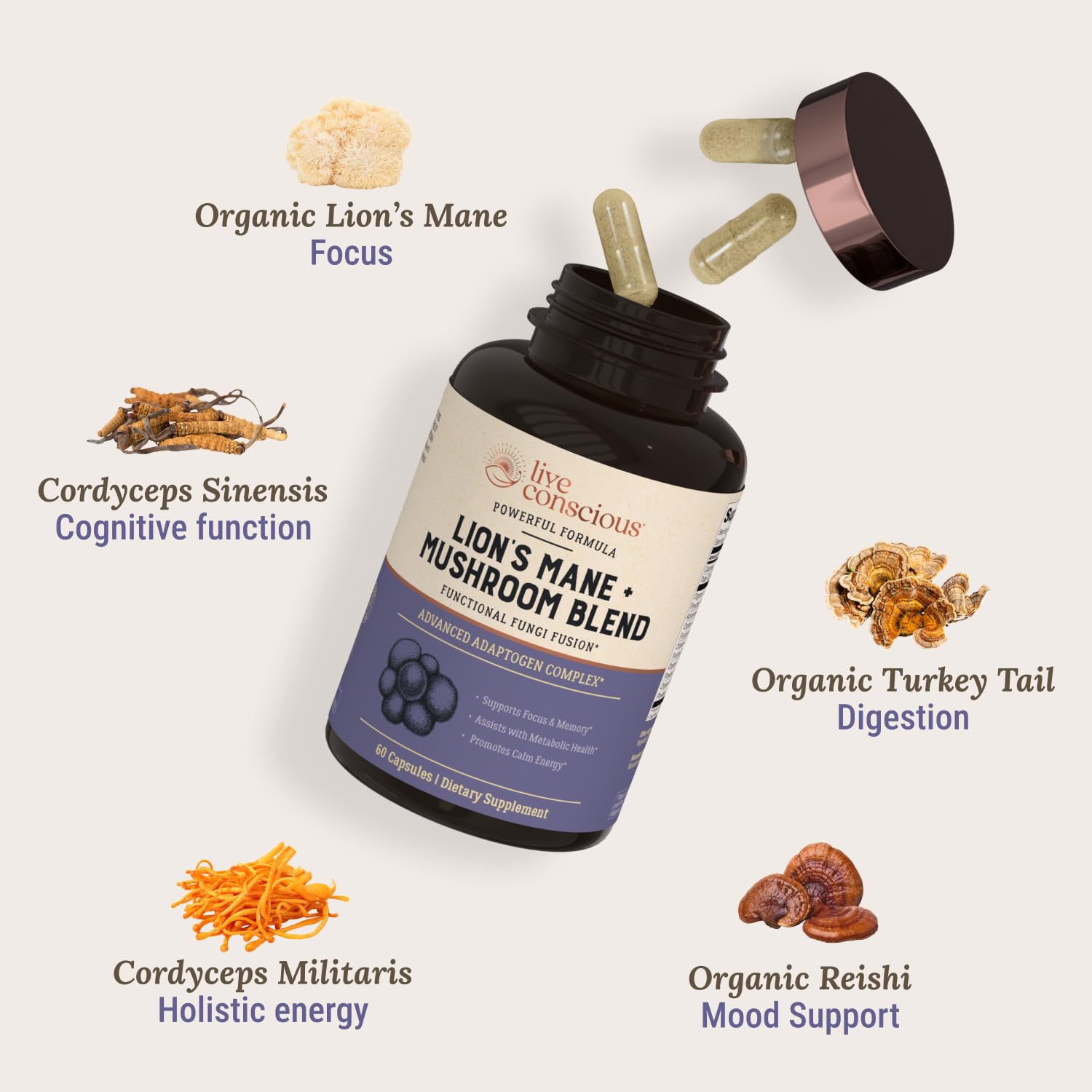 Close-up of Lion's Mane and multi-mushroom blend