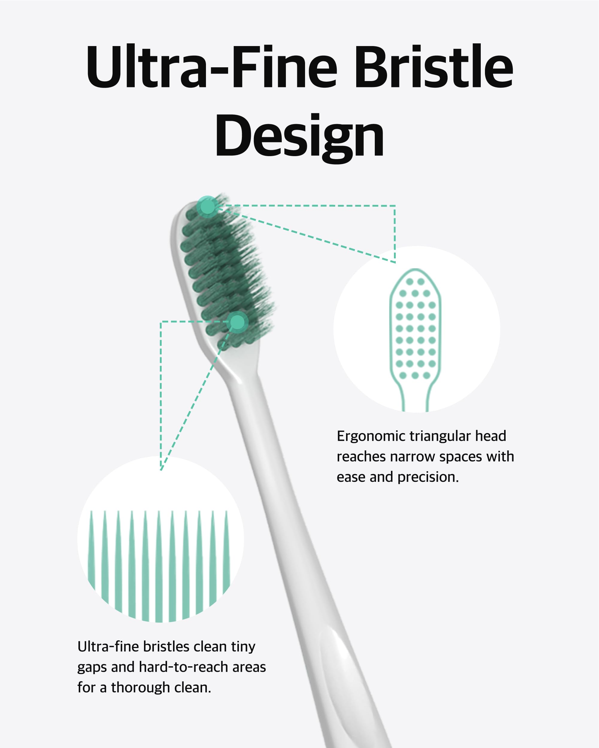 Toothbrush and toothpaste displayed on bathroom counter