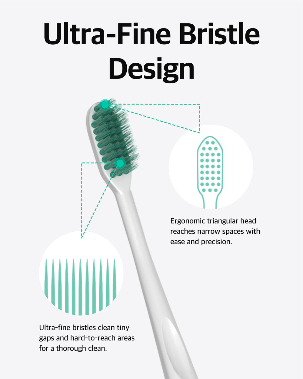 Toothbrush and toothpaste displayed on bathroom counter